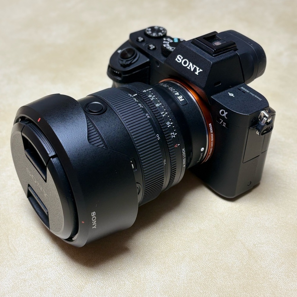 Sony Alpha A7 II with Sony FE 20-70mm f/4 G Lens